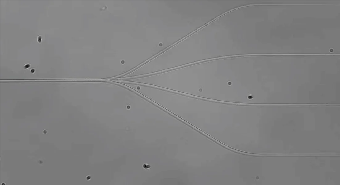 二维矢量加工